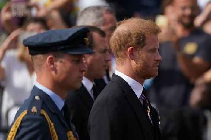 Prince Harry and William unite to walk with King Charles behind Queen's coffin