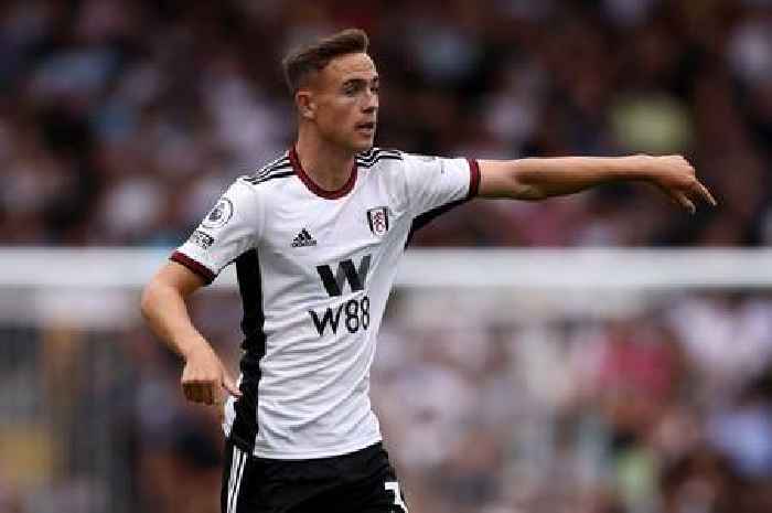 Who is new Wales wonder Luke Harris, the Fulham youngster people are beginning to talk about