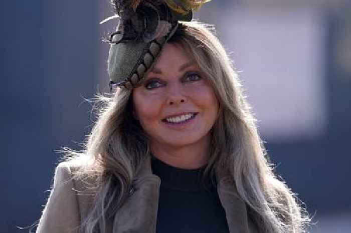 Carol Vorderman says King Charles will do a 'great' job as monarch