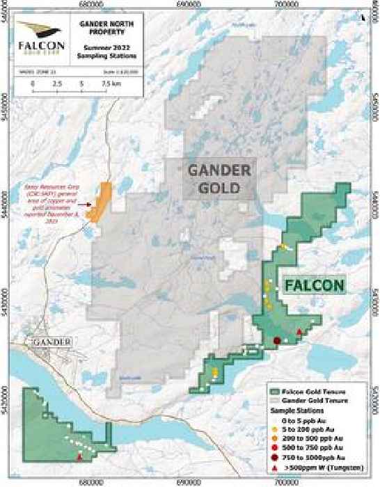Falcon Announces Initial Surface Sampling Results at Gander North and Filing of Drill Permit