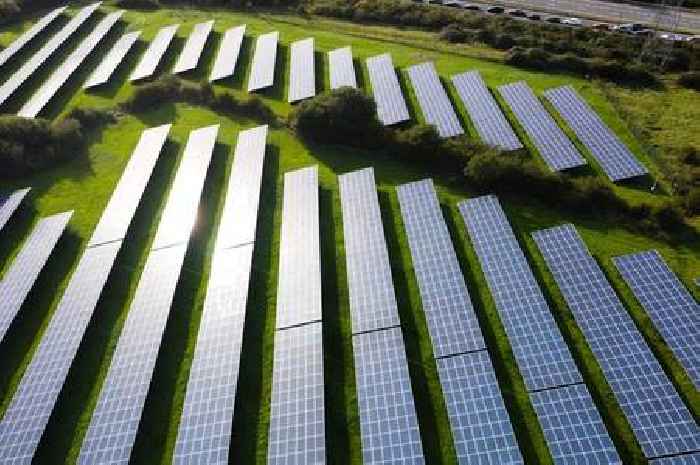 Huge solar farm approved near Frampton Cotterell despite wildlife fears