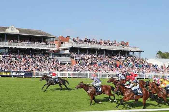 Ayr Gold Cup tips: Horse racing expert reckons 7-1 joint favourite can take home big prize