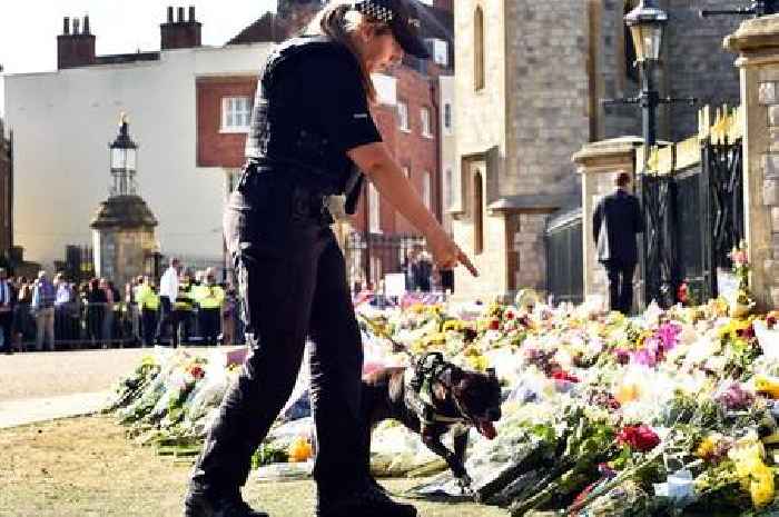 Arrests now in double-digits for biggest police operation in Met’s history for Queen’s funeral