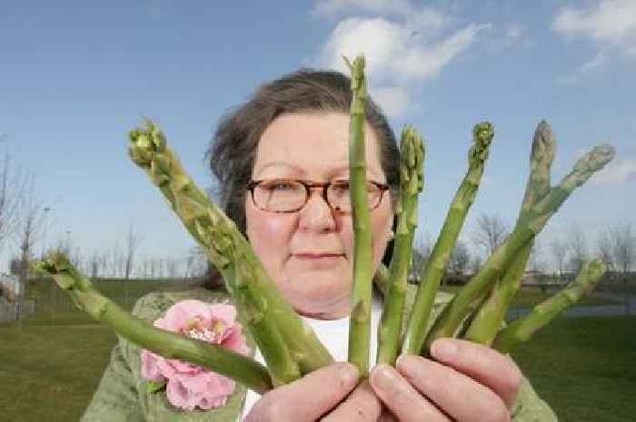 King Charles will abdicate next year according to psychic who reads asparagus