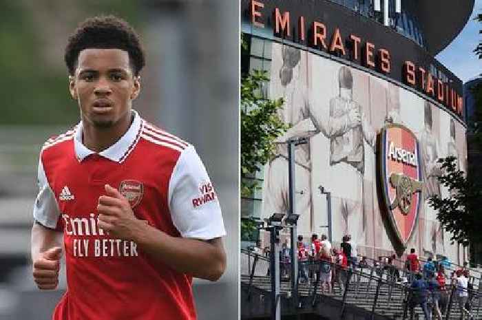 Arsenal schoolboy substitute born in 2007 is even younger than the Emirates Stadium