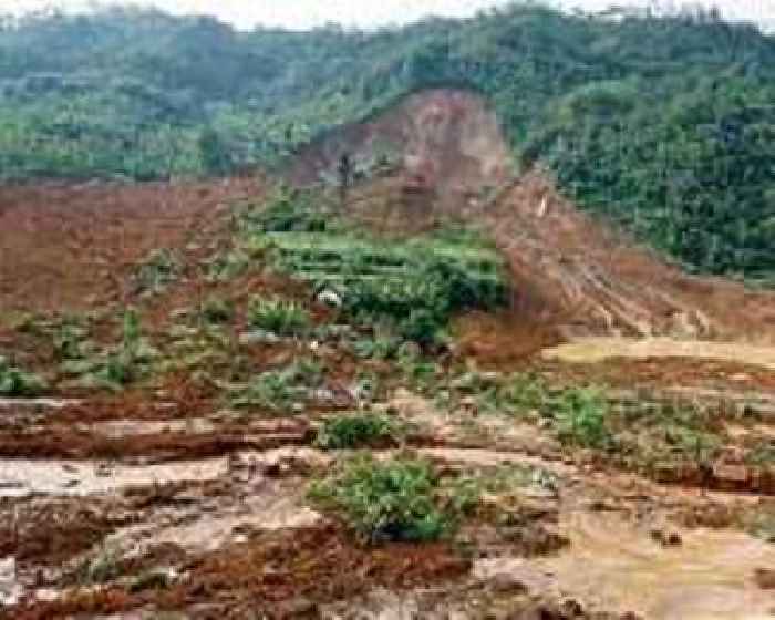 Seven dead in Indonesia mine landslide: district chief