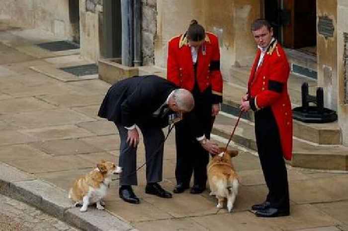 Royal Family fans 'broken' as Queen Elizabeth II's corgis wait to see Her Majesty's final journey home