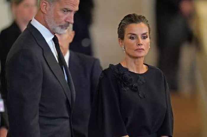 King Felipe and Queen Letizia of Spain's background and careers before unexpectedly taking the throne