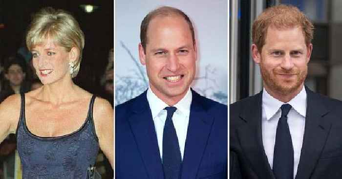 Princess Diana Would Be 'Infuriated' By Prince William & Prince Harry's Long-Standing Feud, Biographer Spills