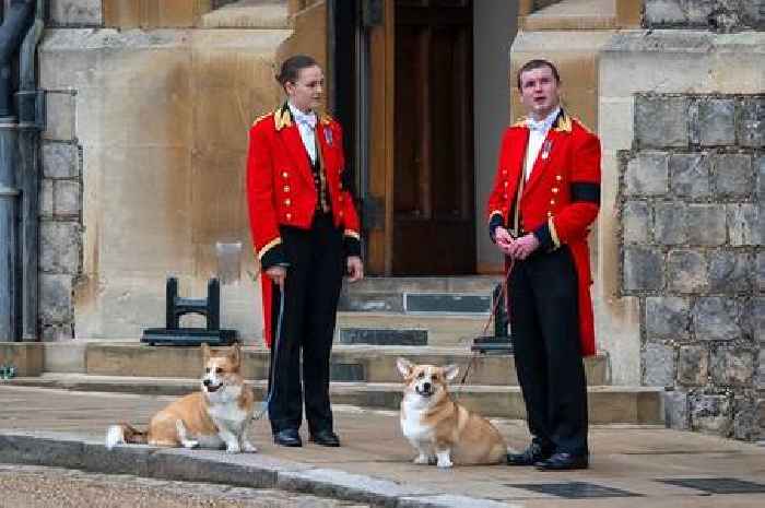 Nine touching moments from the Queen's funeral - including moving tributes and corgi's goodbyes