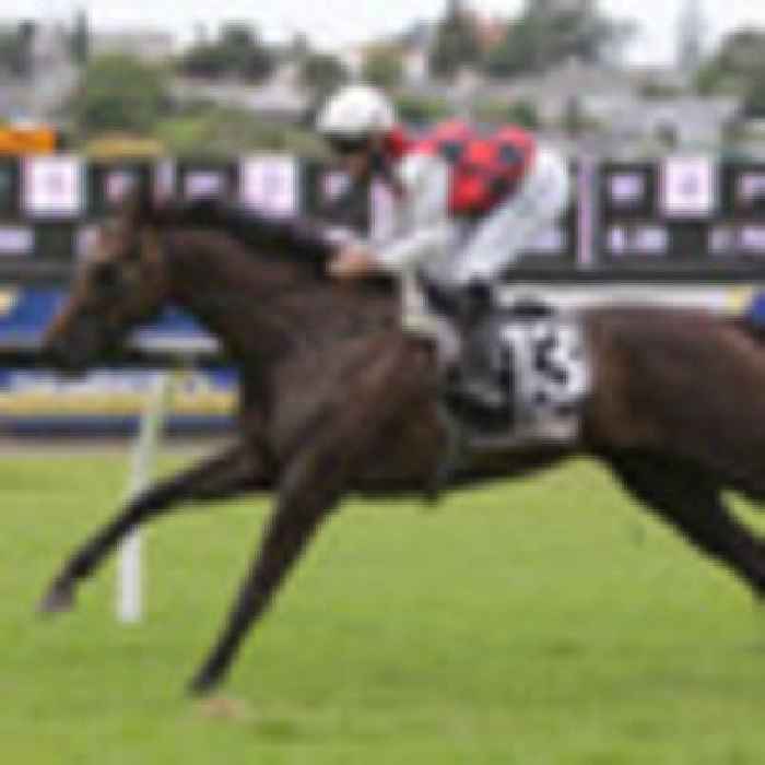 Horse racing: La Crique heads to Hastings