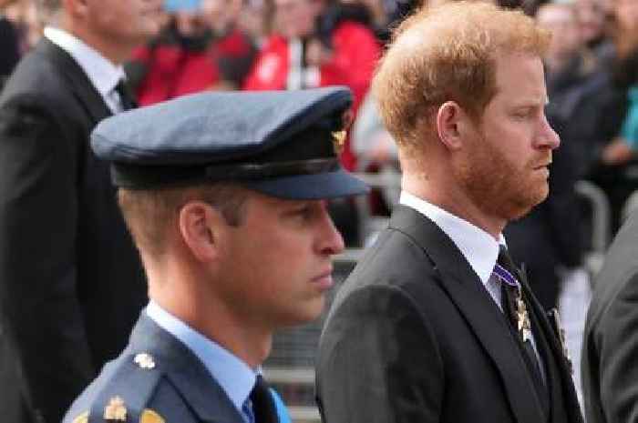 Prince Harry and William could be in truce after hand gesture at Queen's funeral