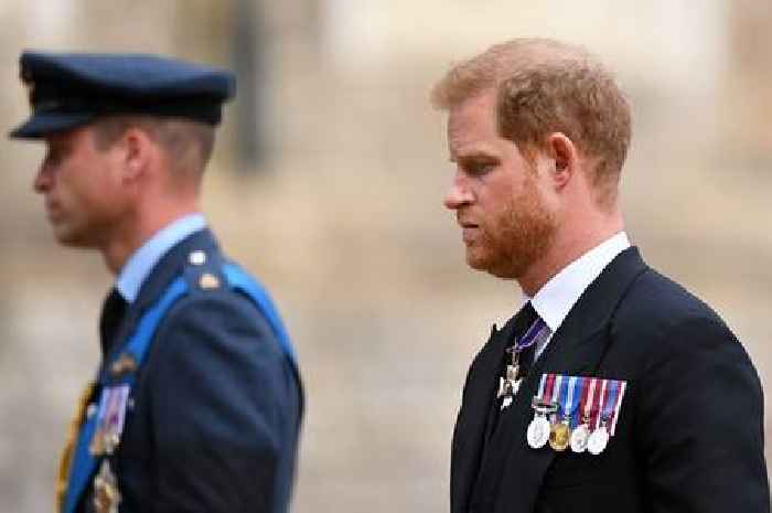 Prince Harry 'found out about Queen's death on flight five minutes before public statement'