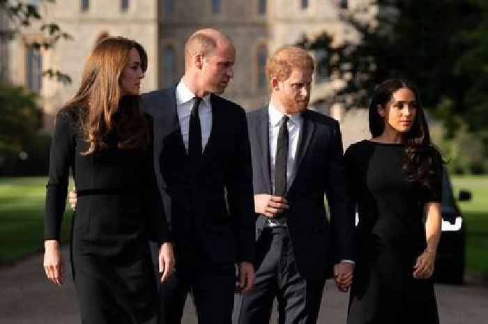 Both Prince Harry and William found reunion with Meghan and Kate 'hard'