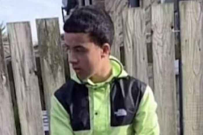 First photo of boy, 15, 'stabbed to death' outside school as suspect arrested