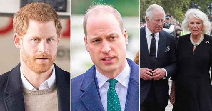 Prince Harry & Prince William Used To Disrespectfully 'Argue' With King Charles Over His Marriage To Queen Consort Camilla