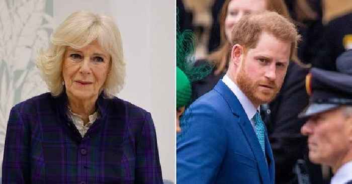Queen Consort Camilla Thought Prince Harry Bringing In A Mediator To Sort Out Their Family Tension Was 'Ridiculous'