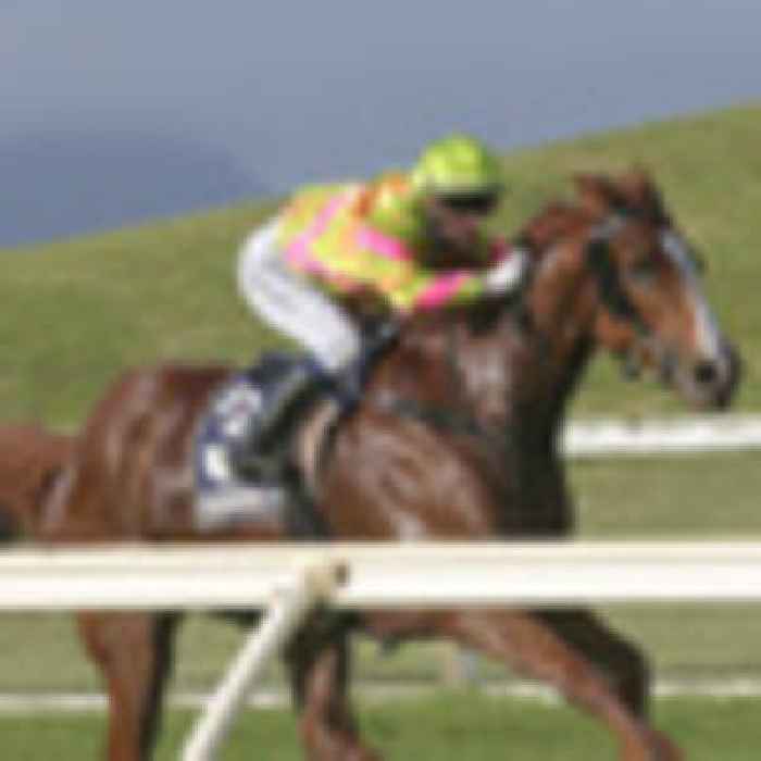 Horse racing: Group 1 hopes spearhead big Hastings team