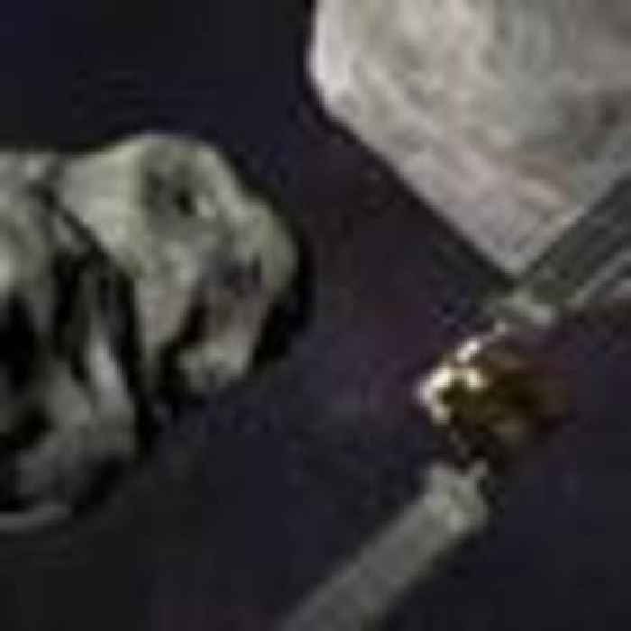 Nasa spacecraft closes in on asteroid for head-on collision