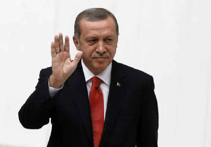 Turkey summons German envoy after politician likens Erdogan to sewer rat