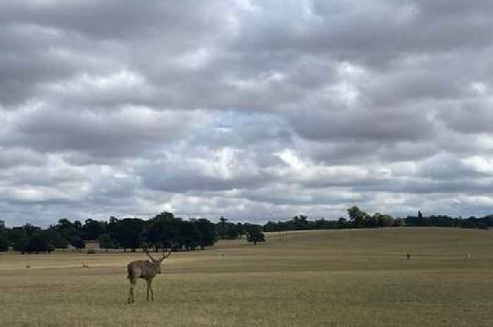 Hertfordshire weather: Clouds are set to cover Herts for another day - today's Met Office forecast