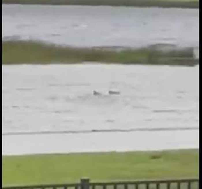 WATCH: Shark Apparently Seen Swimming in Flooded Streets of Fort Myers After Hurricane Ian Makes Impact