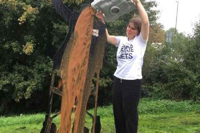 Protestor pours 'human faeces' over Captain Tom memorial in Hatton