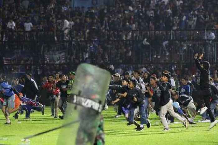 Indonesia football stampede: At least 174 fans dead following pitch invasion as sport in 'state of shock'