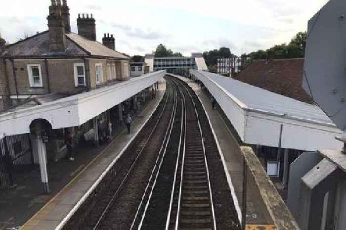 Swan on train line between Staines and Egham delays commuters during rush hour - live