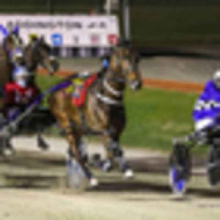Horse racing: South Coast Arden springs away
