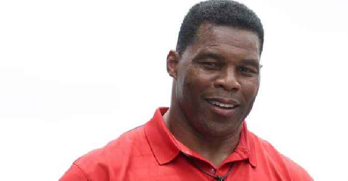 Georgia Republicans Knew of Alleged Herschel Walker Abortion, One Not Surprised a Rich Athlete Was ‘Spreading His Seed’