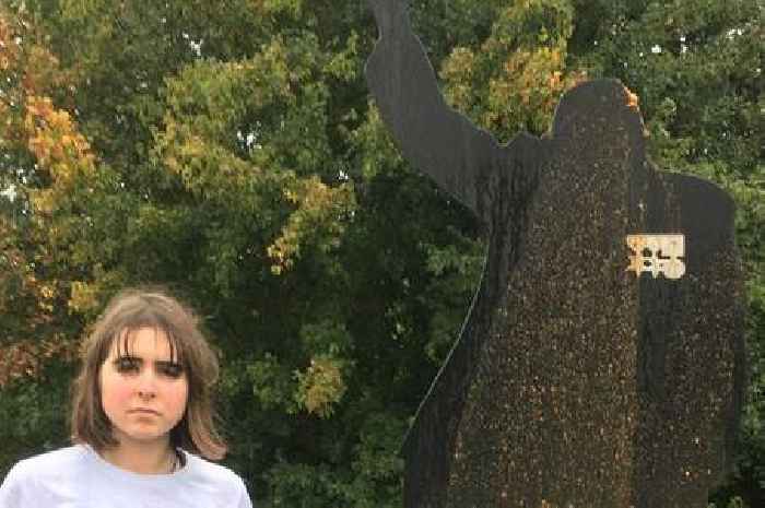 Young woman facing jail over attack on Captain Tom statue