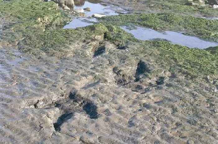 The stunning beach in Scotland where you can find giant dinosaur footprints