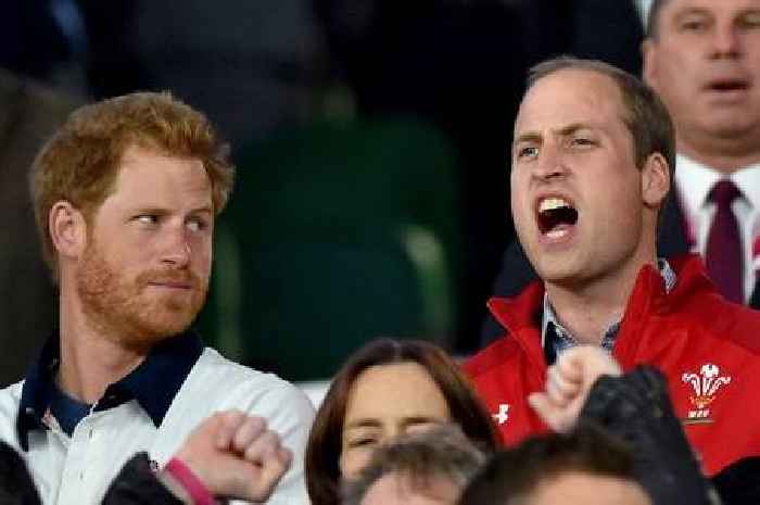 Prince William's England v Wales plea 'to keep Prince Harry quieter' emerges