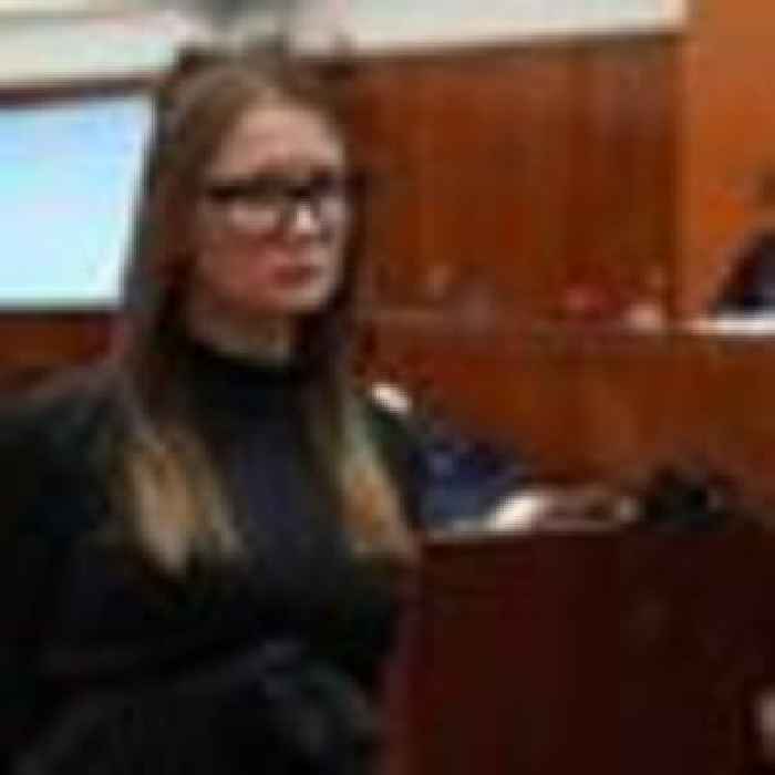 Fake heiress Anna 'Delvey' Sorokin says she got 'exactly what I wanted' with release from jail