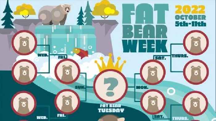 Fat Bear Week 2022: Alaska’s Best Week Of The Year Is Underway