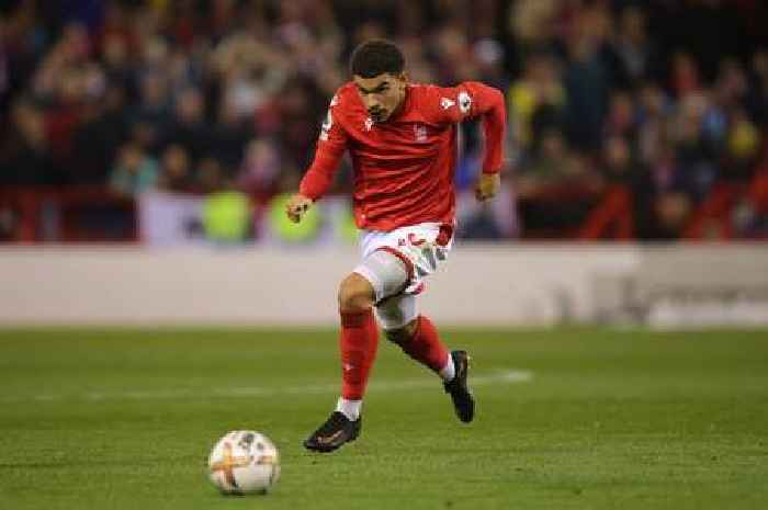 Morgan Gibbs-White prediction made as Nottingham Forest ace adapts to Premier League
