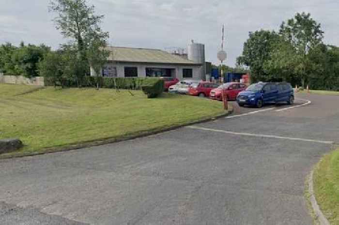 Buyout could be on the cards for Dumfries and Galloway yoghurt production plant facing closure