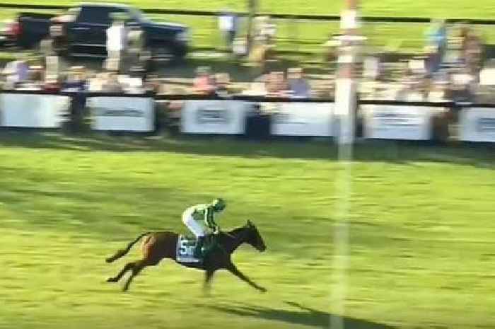 Irish horse bought for just £800 scoops £140,000 after winning American Grand National