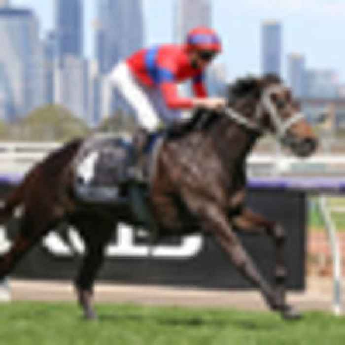 Racing: Champion NZ mare's racing may be all over
