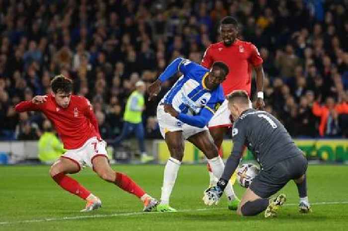Nottingham Forest player ratings versus Brighton: Henderson impresses as Reds claim point
