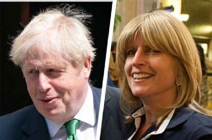 Rachel Johnson says Tories need period in opposition and blames Brexit divisions for party chaos