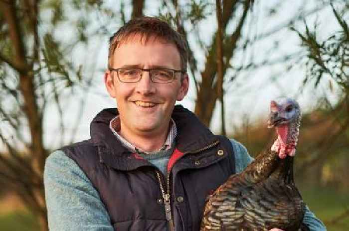 Scots farmer warns of Christmas turkey shortage due to bird flu outbreak