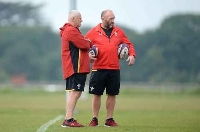 Robin McBryde claims 'a lot' of fans turned their back on the game because of regional rugby
