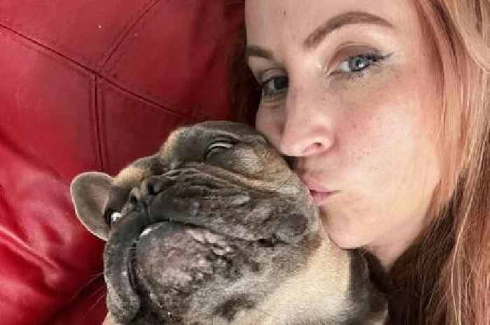 Folkestone dog owner left confused as two French Bulldogs have mystery seizures after walking in The Warren area