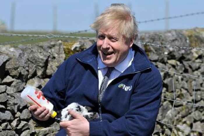 What will Boris Johnson do next? Odds have been compiled