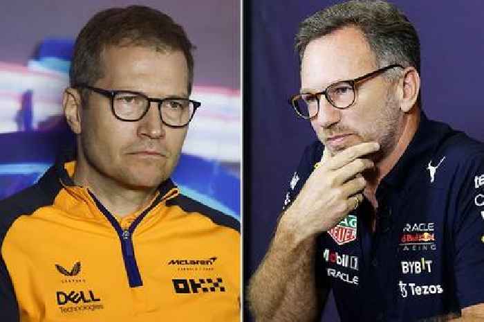 McLaren chief mocks Christian Horner 'fairy tale' and criticises cost cap penalty