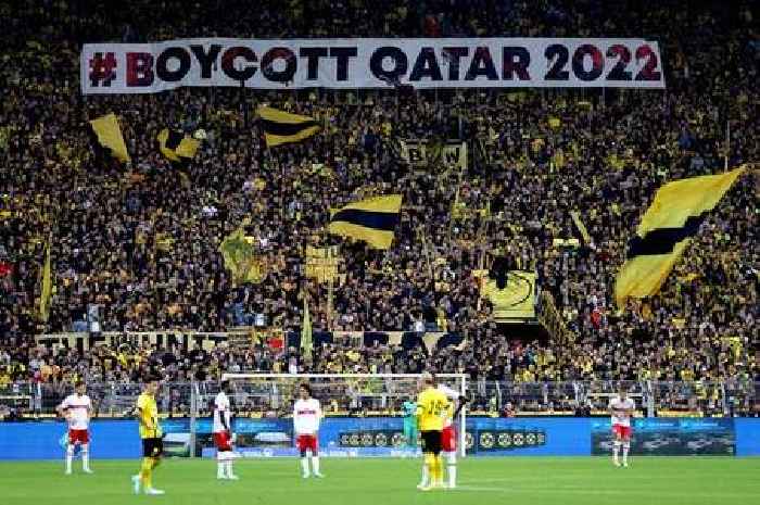 LGBT fans to boycott World Cup in Qatar over country’s stance on the community