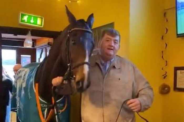 Racing trainer walks horse into a bar as one drinker asks for a pint of Guinness