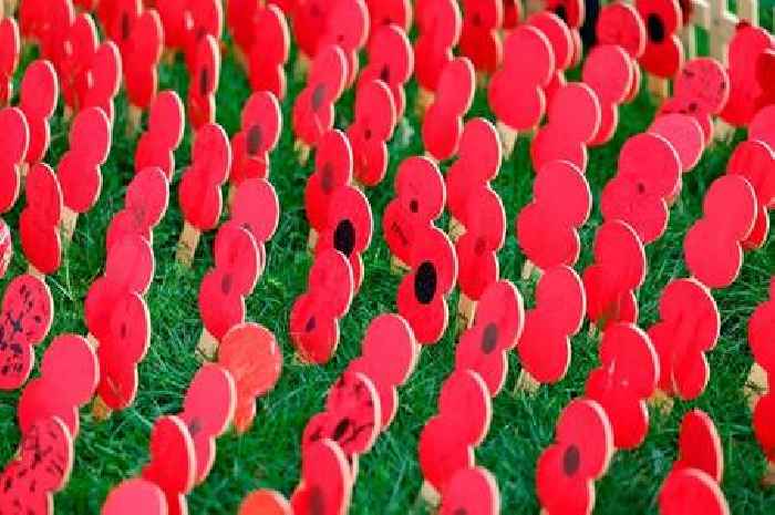 The best pictures from the opening day of Cardiff Castle's Field of Remembrance